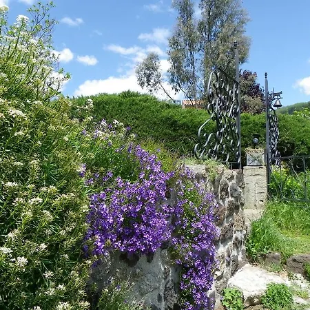 Le Cabanon